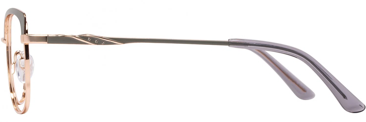 Cote DAzur CDA406 Eyeglasses - view 5